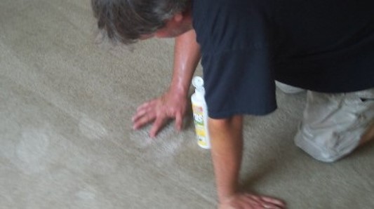 Sanibel carpet cleaning